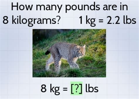 0.8kg to lbs|0.8 Kilograms To Pounds Converter